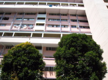 Blk 110 Bukit Purmei Road (Bukit Merah), HDB 3 Rooms #255192